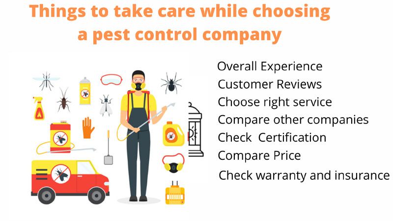 pest control company